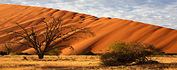 Namibia Rundreisen & Safaris