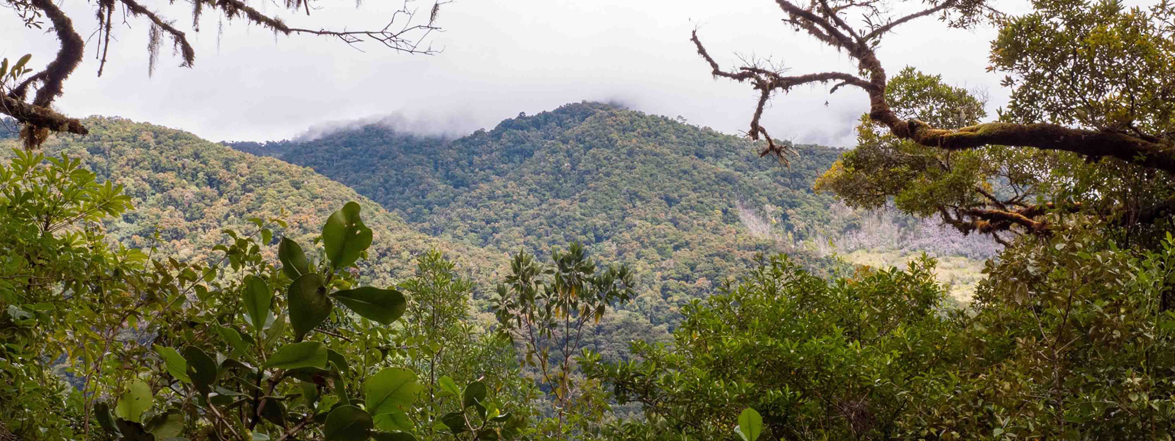 Cerro de la muerte Costa Rica