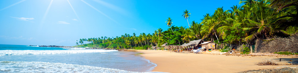 Sri Lanka Badeferien und Rundreise von travel worldwide Sri Lanka Ferien Schweizer Reisebüro