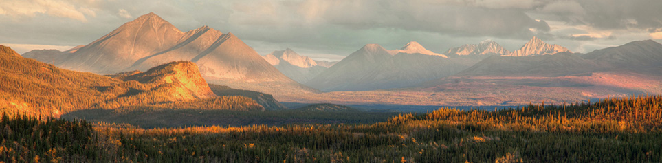 Denali-reisen-alaska