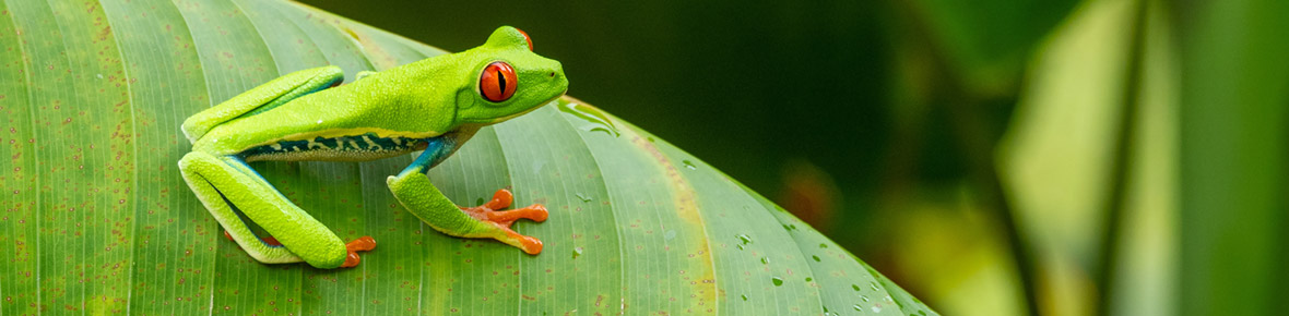 Costa Rica Reisen von travel worldwide