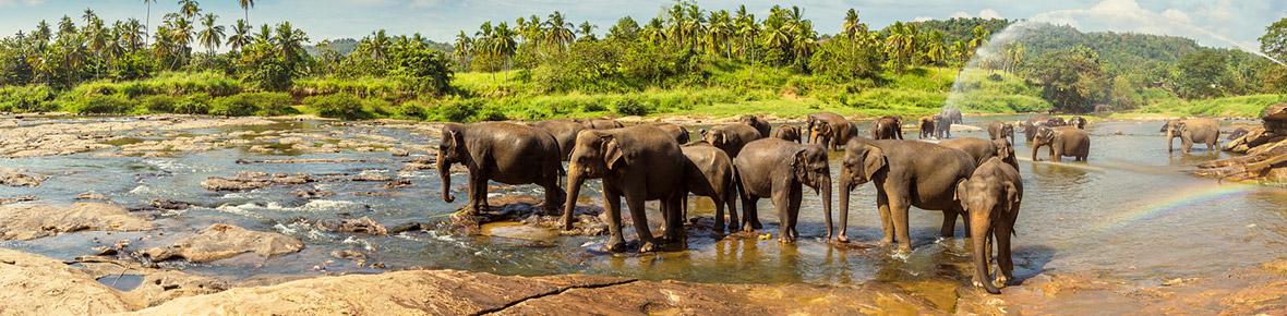 Sri Lanka Badeferien und Rundreise von travel worldwide 